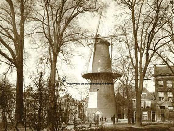 De Hoop