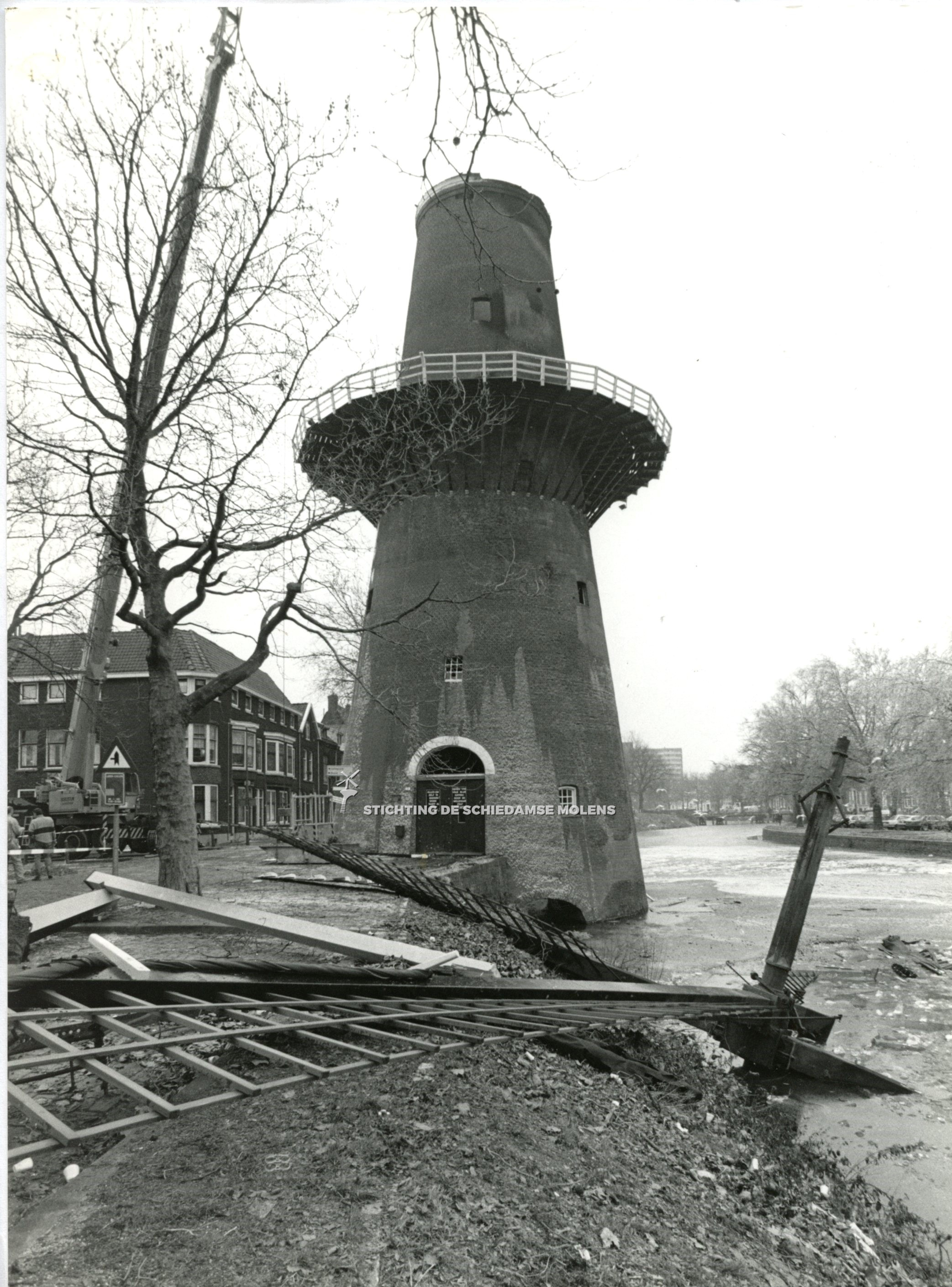 Walvisch